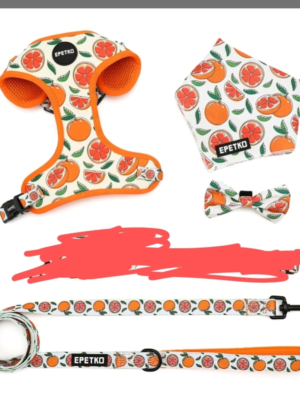 ♥️Fruit Dog Harness With Leash And Accessories Citrus Orange Bandana Size Small